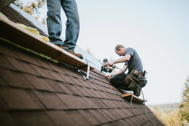 Quick and Trustworthy Emergency Roof Repair Services in Afton, MN